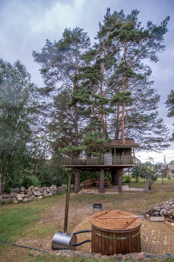 Sodyba Namelis Medyje Anyksciuose Anykščiai Buitenkant foto